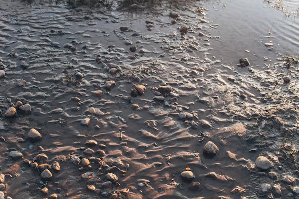 mud and sand